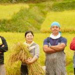 【農業】地球温暖化防止、地域活性化につながる有機農業を支援（政策アイディア）